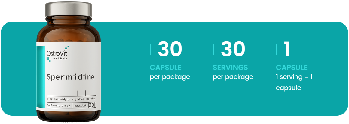 Spermidine | 30 Capsules | OstroVit Pharma