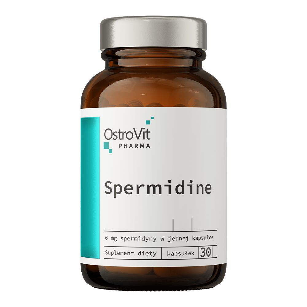 Spermidine | 30 Capsules | OstroVit Pharma