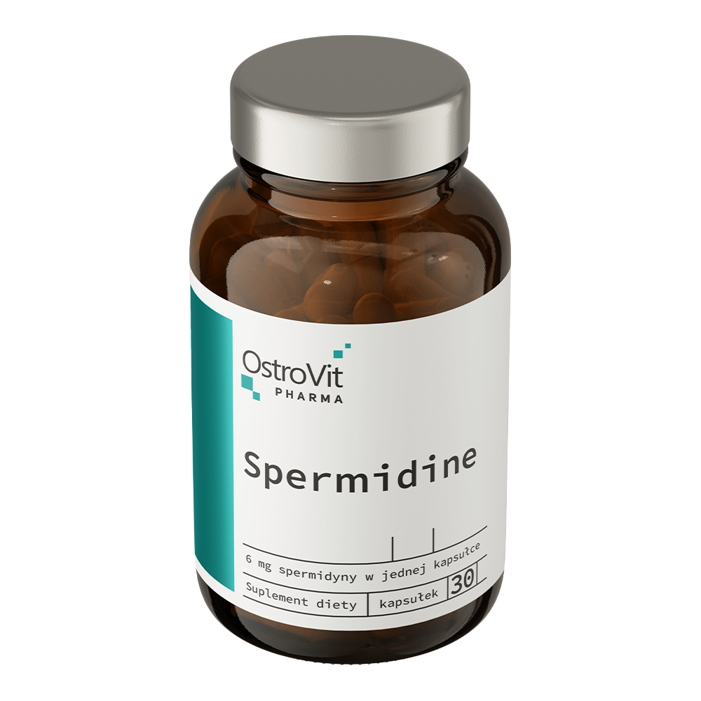 Spermidine | 30 Capsules | OstroVit Pharma
