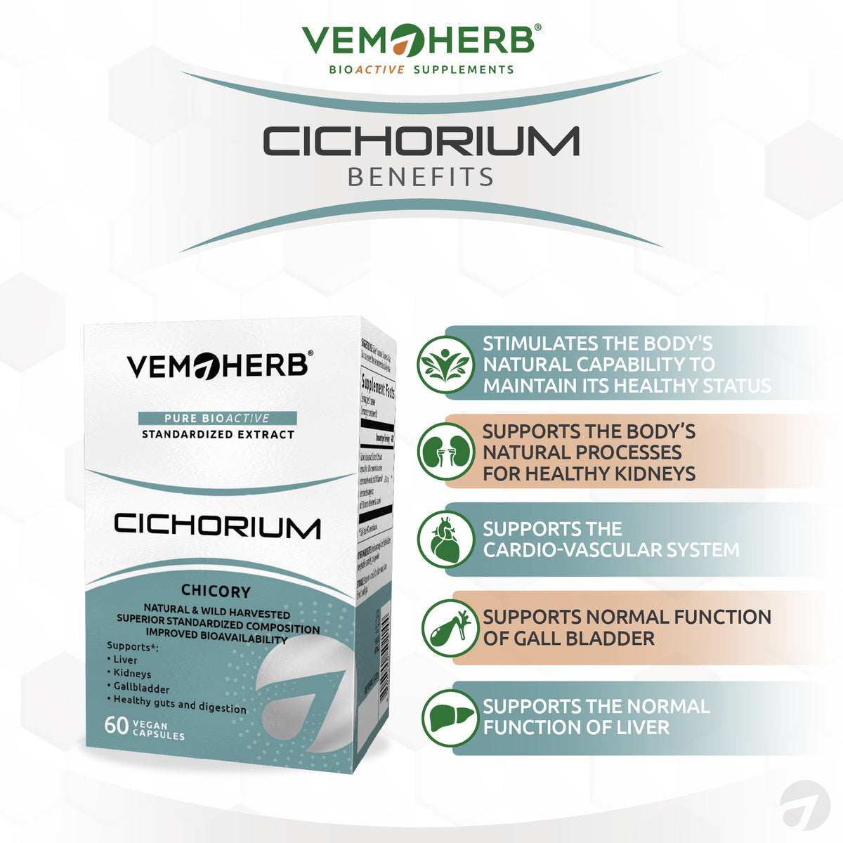 Cichorium 60 caps