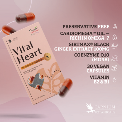 Vital Heart