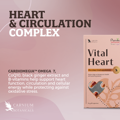 Vital Heart
