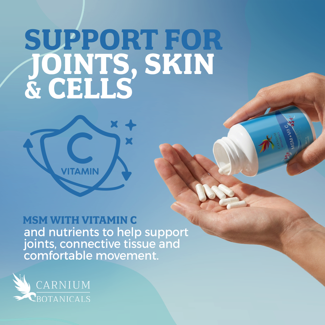 MSM + Vitamin C