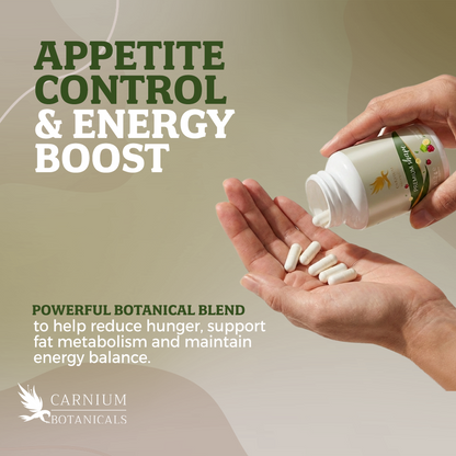 Premium Shape