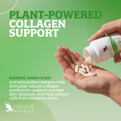 Vegan Collagen Booster