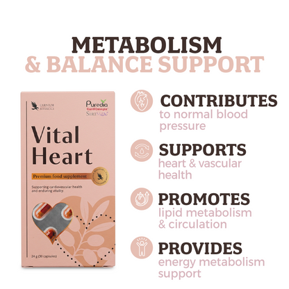 Vital Heart