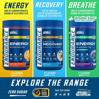 Breathe Energy & Electrolyte Powder 1.5kg Blackcurrant
