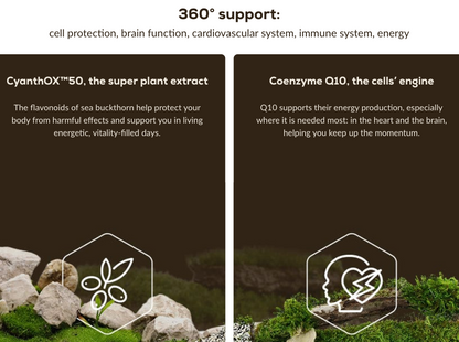 Lifelong 360° - 60 capsules