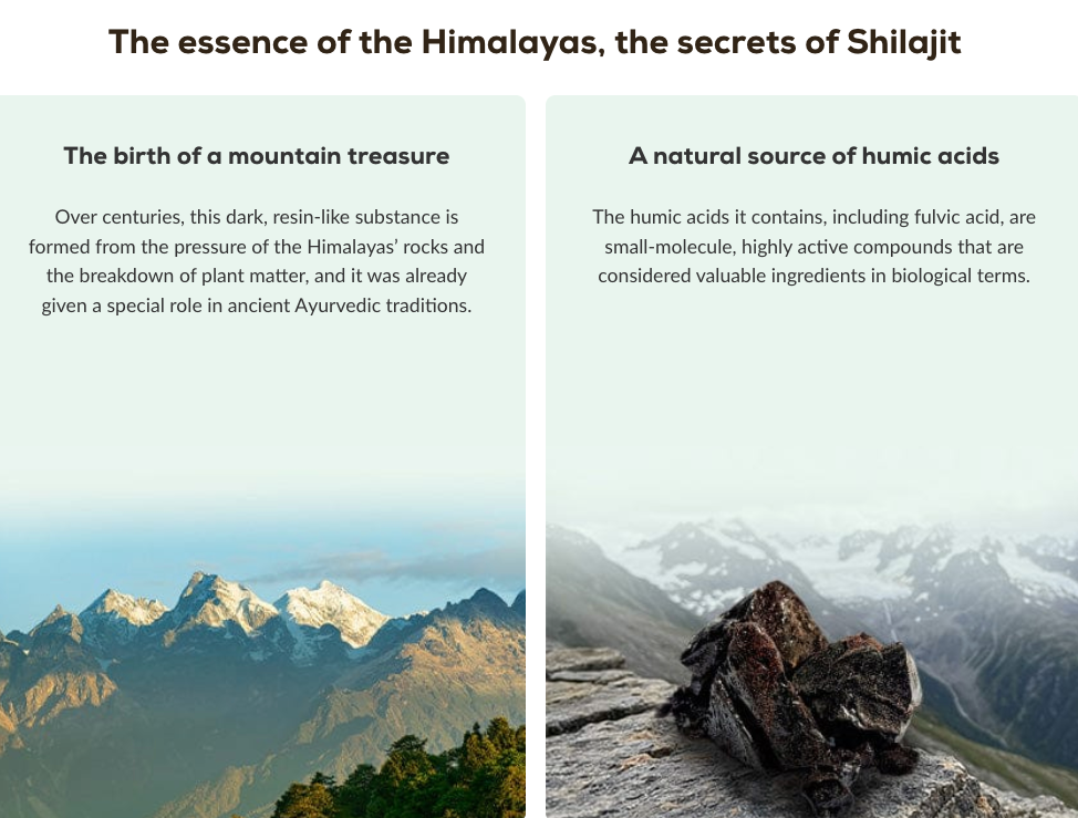 Shilajit - 60 capsules