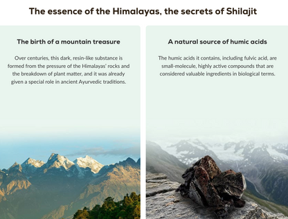 Shilajit - 60 capsules