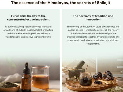 Shilajit - 60 capsules