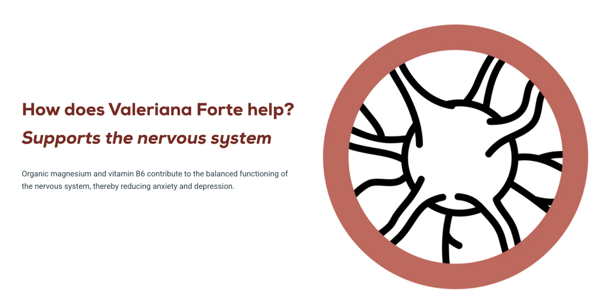 Valeriana Forte - 60 tablets