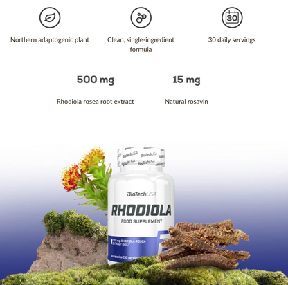 Rhodiola - 60 capsules