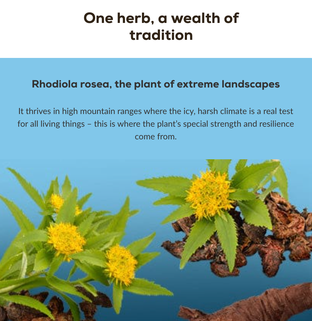 Rhodiola - 60 capsules