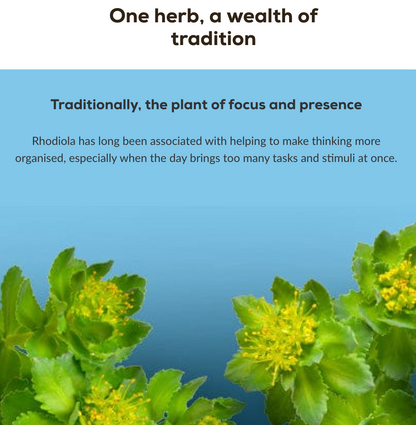 Rhodiola - 60 capsules