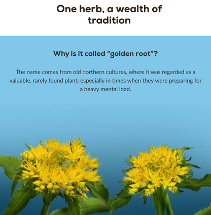 Rhodiola - 60 capsules
