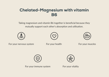 Magnesium Bisglycinate - 90 capsules