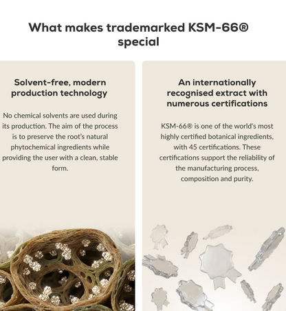 Ashwagandha KSM-66 60 capsules