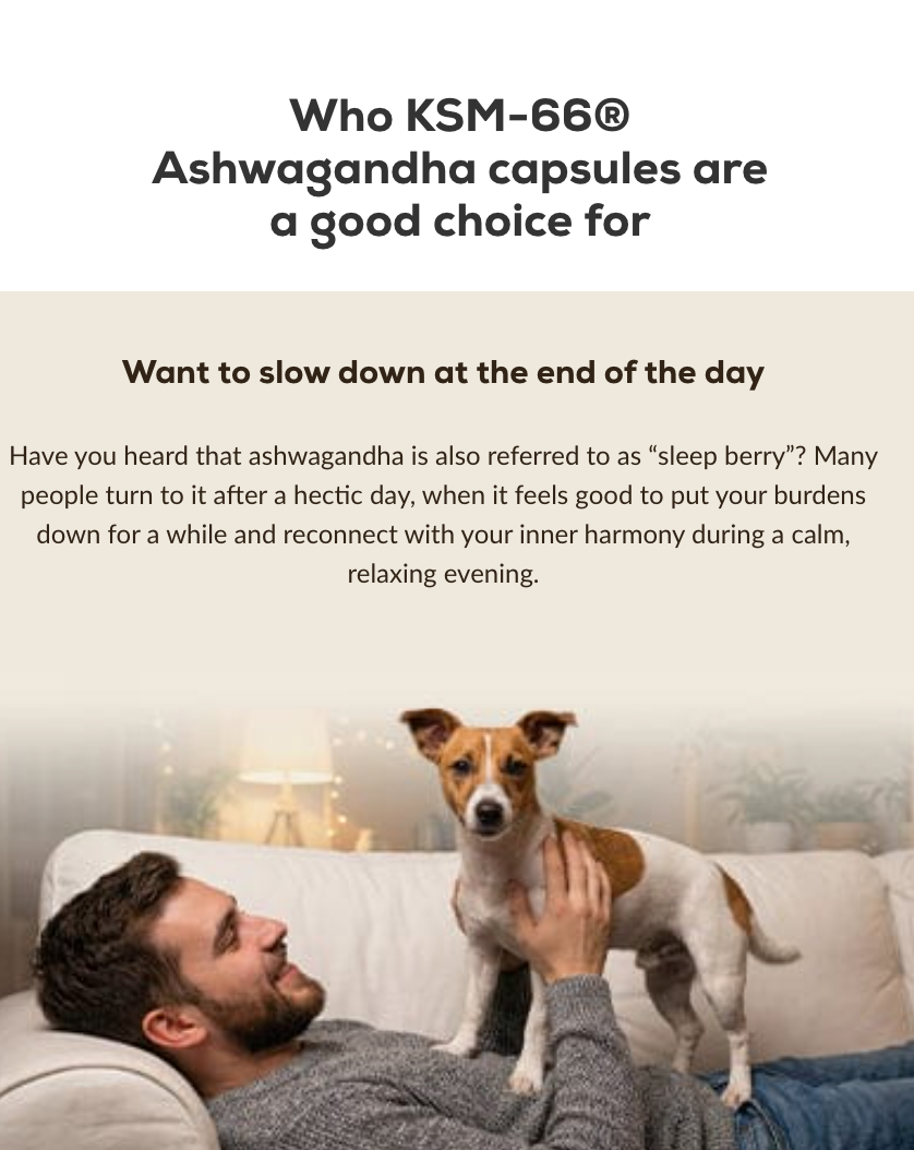 Ashwagandha KSM-66 60 capsules