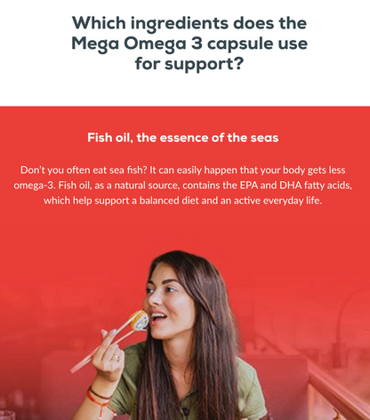 Mega Omega 3 - 90 softgel capsules