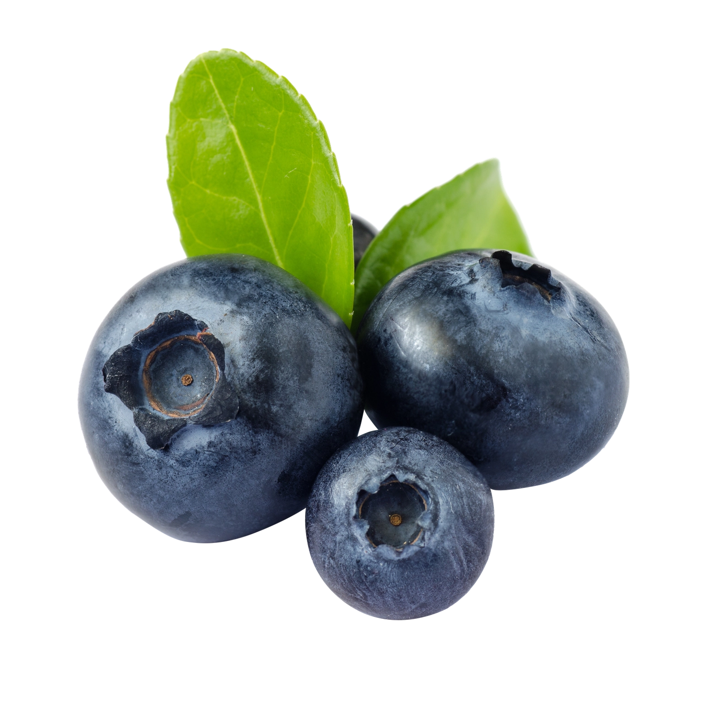 Pure Gold Granola Blueberry – glutenvrij & vegan, rijk aan vezels, 250 g