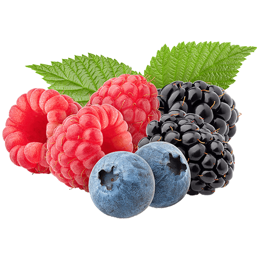 PureGold Relax Forest Fruit – 300 g, collageen + inuline + magnesium + vitamine D