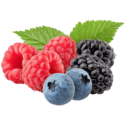 PureGold Relax Forest Fruit – 300 g, collageen + inuline + magnesium + vitamine D