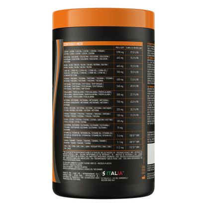 ProSintech EAA + BCAA 400 Capsules, B6, B1 & Zink, 66 Porties - Gluten Vrij
