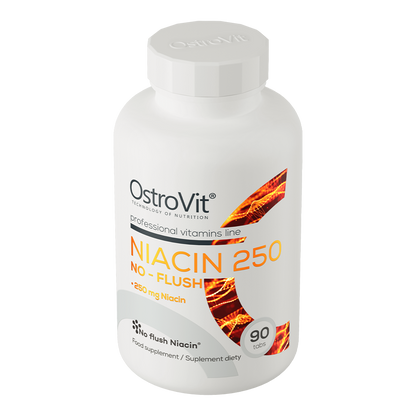 Niacin 250 NO‑FLUSH – 90 tabletten, Vitamine B3 (inositol‑hexanicotinaat) | OstroVit