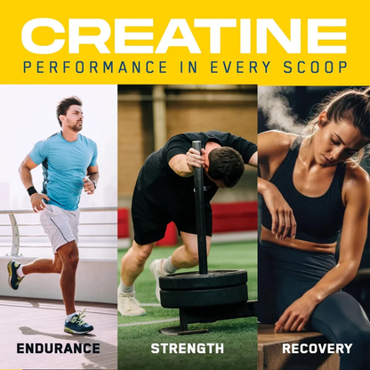 Creatine + PeptiStrong 444 g