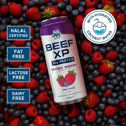 BEEF XP Carbonated Protein Drink 500ml Mixed Berry