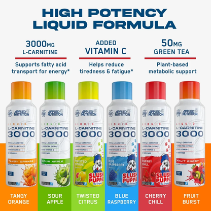 L-Carnitine 3000 Liquid 480 ml Fruit Burst