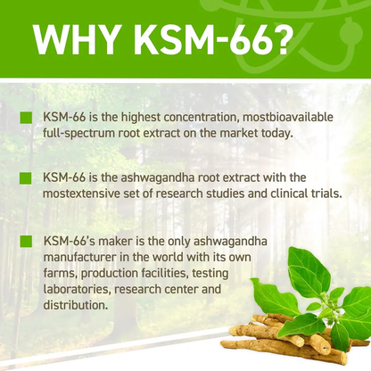 Ashwagandha KSM-66 - 60 V-caps