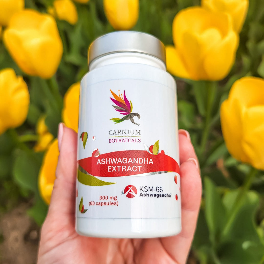 Ashwagandha KSM-66