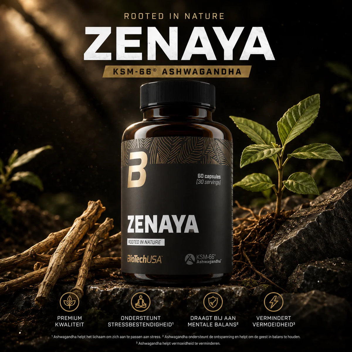 ZenAya - 60 capsules